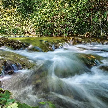 Zrnovnica 06 Zrnovnica