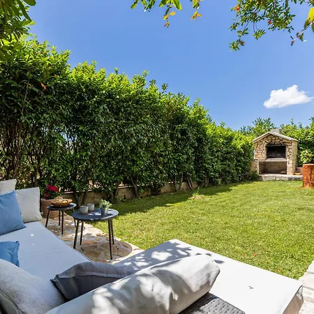 Zrnovnica 06 * Zrnovnica